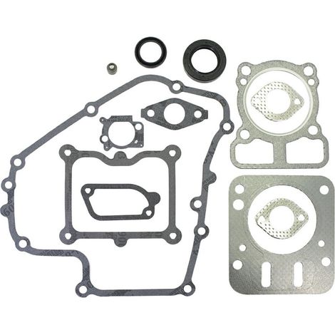 Serie guarnizioni DOV 090600, 100600, 100800 793623 BRIGGS &amp STRATTON-320321