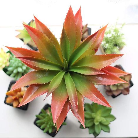 Plante artificielle Aloe vera - 30 cm de large, décoration intérieure et extérieure, jardin et salle de bain (1/5)