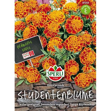 Sperli Studentenblumen Tagetes Honeycomb - Blumensamen (1/4)