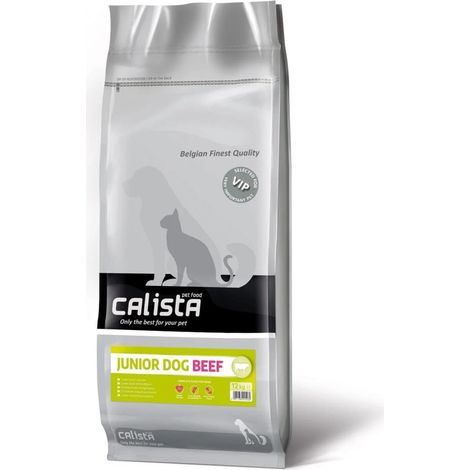CALISTA - Chiot de bœuf - 12 kg