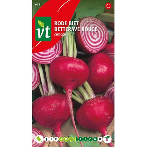 Betterave Rouge Chioggia - Ca. 3 gr (Livraison Gratuite)