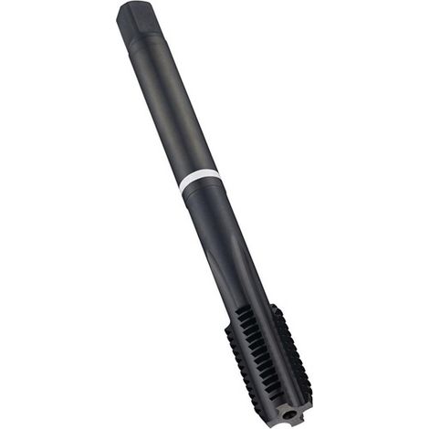 Taraud de machine DIN 376C E252 M22x2.5mm HSS-E-PM trempé 2XD 6HX DORMER (1/2)