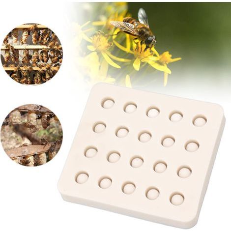 Moule d'élevage de reines d'abeilles en silicone 20 tasses Moule en cire d'abeille pour apiculture Tasse à cellules d'abeilles pour jardin, (1/4)