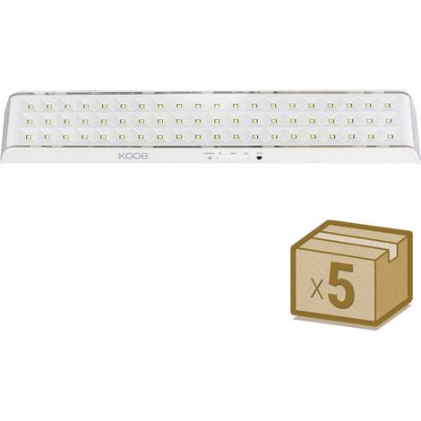 Pack 5 x Luz de emergencia Led EMERLUX F715, No permanente, Blanco frío (1/4)