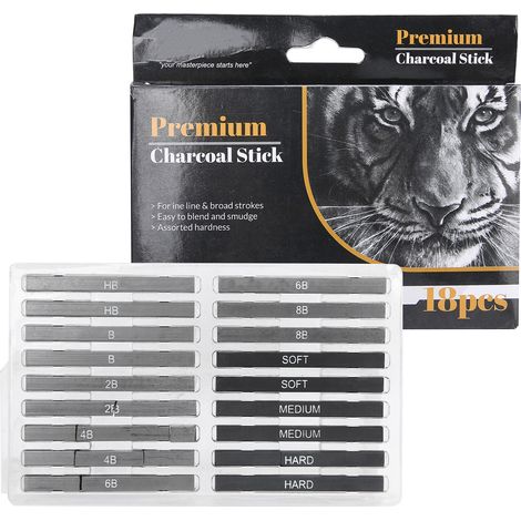 18Pcs Charcoal Stick Artist's Compressed Drawing Sketching Kit Tools Painting Supplies (1/5)