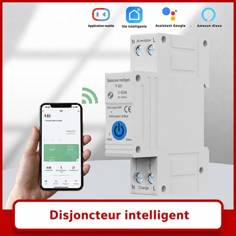 Disjoncteur différentiel connecté Tuya ZigBee RMDZB-1PNL 1P+N 63A AC 220V interrupteur intelligent télécommande minuterie 9 × 2 × 11 cm 120 g – Livraison gratuite (1/5)