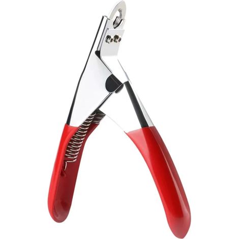 Coupe-griffes professionnel pour chiens et chats, ciseaux à ongles en acier inoxydable, outil de toilettage compatible avec les chiens et chats de petite et moyenne taille. (1/5)