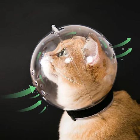 Cagoule de Protection Respirante Anti-Morsure Anti-Léchage pour Chat, Masque de Toilettage avec Espace Intérieur, Accessoire de Bain pour Petits Chats (1/5)