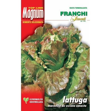 BUSTA MAGNUM SEMI DI LATTUGA CANASTA