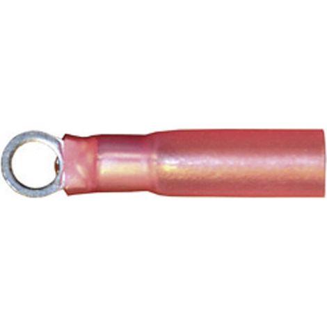 Vogt Verbindungstechnik 3616ah Ringkabelschuh mit Schrumpfschlauch Querschnitt (max.)=1 mm² Loch-Ø=5