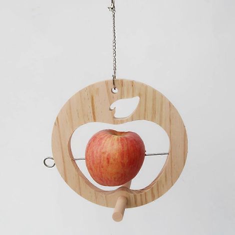 Mangeoire à oiseaux avec support pour fruits et brochettes, outil de nourrissage suspendu et poteau. (1/4)