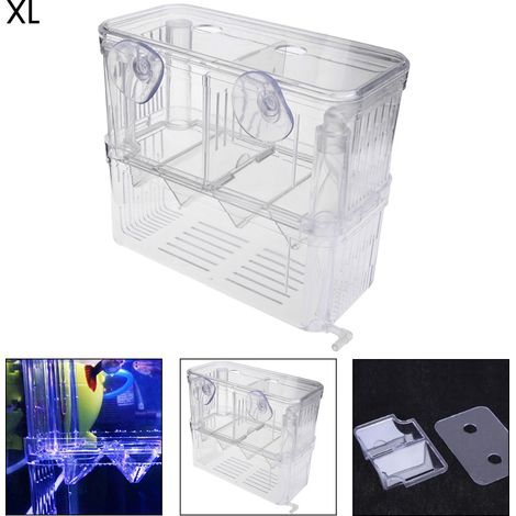 Bac d'élevage acrylique pour poissons, boîte d'incubation suspendue à double couche pour alevins, filet d'isolation de reproduction