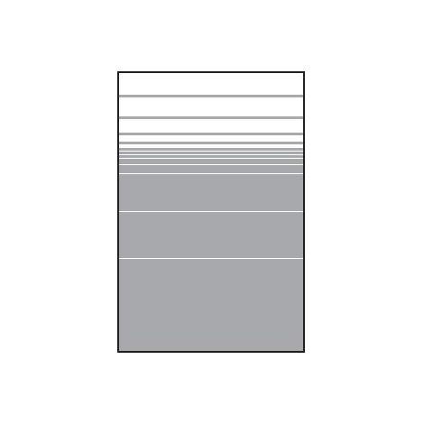 VETRO Glasscheibe Str.Dekor 81 B 1200 x H 1800 mm sat. 68106