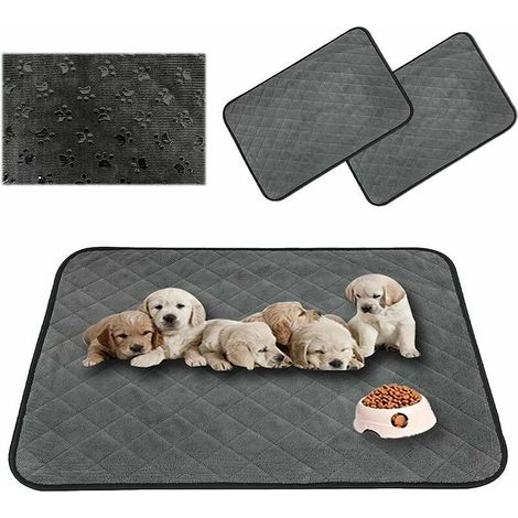 Tapis à Pipi pour Chien/Chat/Lapin, Tapis Éducateur Chiot, Tapis de Dressage Animal, Lavable, Réutilisable, Absorbant, 60 45CM, Gris, 2 Pcs (1/5)