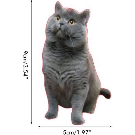 Pendentif Voiture Mignon Chat Décoration Suspendre Rétroviseur Auto Cadeau Idéal Amis Famille (1/4)