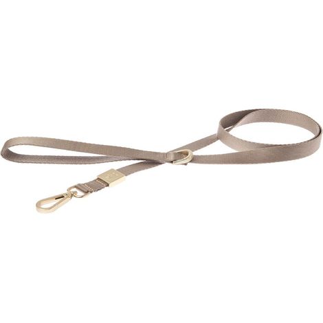 Guinzaglio per cani con anello in zamak satinato modello Mida: GUINZAGLIO 2X120 cm - Giallo
