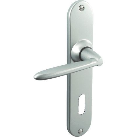 Poignée de porte VACHETTE Tango 165 mm L-key finition chromée velours