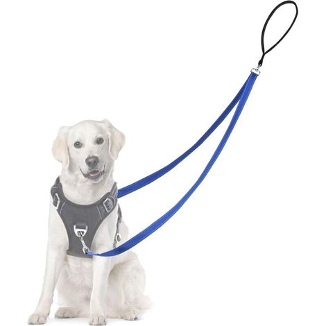 Reflektierende Hundetrainingsleine, verstellbare Trainingsleine, reflektierender Faden, strapazierfähiges, verstellbares Nylon-Kupplungsstück für kleine, mittlere und große Hunde (Schwarz) (1/4)