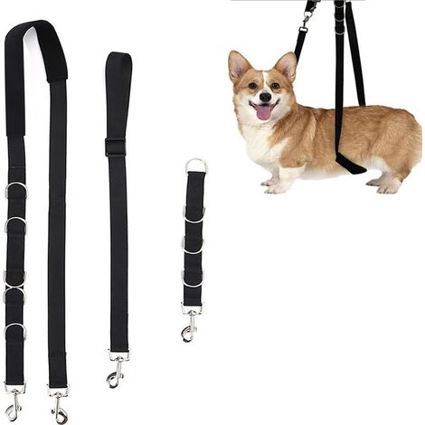Ensemble sangle ventrale – Compatible avec les potences de table de toilettage et toutes les races de chiens système de contention réglable (1/5)