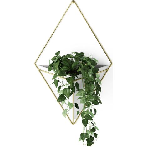 Jardinière Suspendue et Décoration Murale Géométrique pour Petite Plante, Plante Succulente et Bien Plus Encore, Blanc/Laiton (1/5)