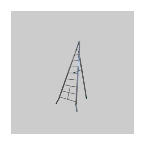 Scala singola per agricoltura agri 4 gradini - h. 200 cm