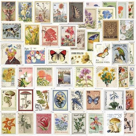 Set mit 100 dekorativen Aufklebern – Scrapbooking-Aufkleber – Botanische Aufkleber (1/5)