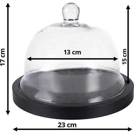 Cloche en Verre de Présentation avec Socle en Bois Noir Ø 23 x 17 cm Style Campagne - PANGIVO