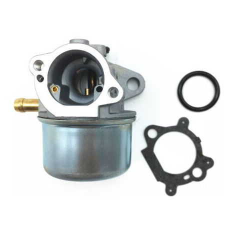 Vergaser passend für die Modelle 799868, 799872, 790821, 498170, 497586 und 498254 – Motoren ohne Choke, Ersatzteil mit Dichtung und O-Ring (1/4)