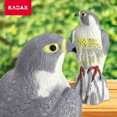 Dissuasore Uccelli Realistico in Plastica, Falco, Protezione Giardino, 30 cm (1/4)