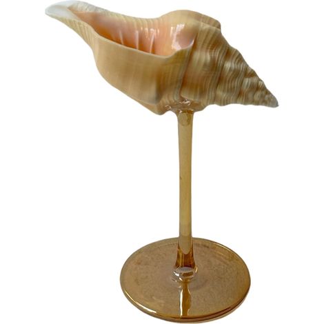 Verre à vin à pied en coquillage naturel, verre artistique en coquillage irrégulier, décoration intérieure.