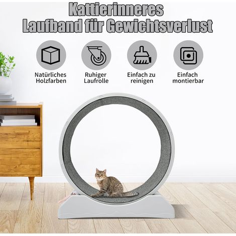 Laufrad FüR Katzen, Katzenlaufrad Mit Arretierung Max. TragfäHigkeit 10kg, FitnessgeräT Zur Gewichtsabnahme, Geeignet FüR Zuhause, Pet Shop, Etc