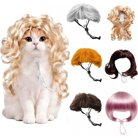 Perruques pour animaux – Tissu en maille douce – Respirantes et légères – Bande élastique ajustable – Conviennent aux chiens, chats, Halloween et cosplay, dorées