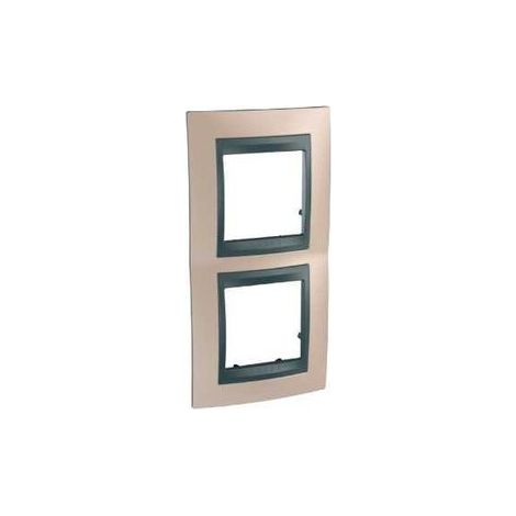 Schneider electric mgu66.004v.296 schneider unica top cuivre onyxliseré graphite plaq.de finition 2 postes 2x2mod.vert.71m