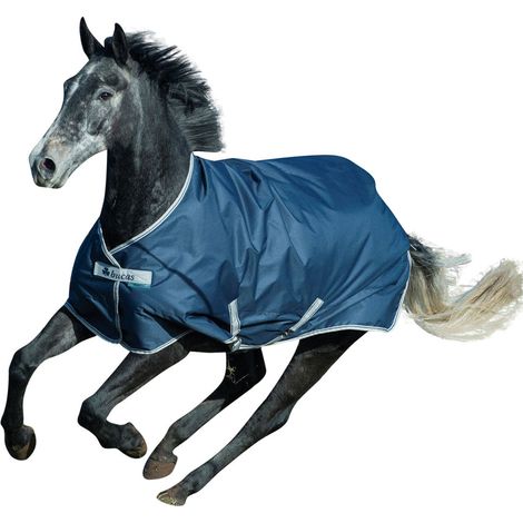 165 cm, Bleu marine: Bucas Freedom couverture imperméable pour chevaux et poulains paddock 150 g (1/2)