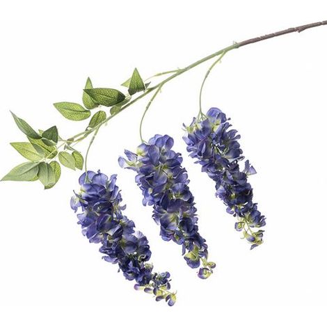 Conti Ramo Glicine 90 Cm Blue