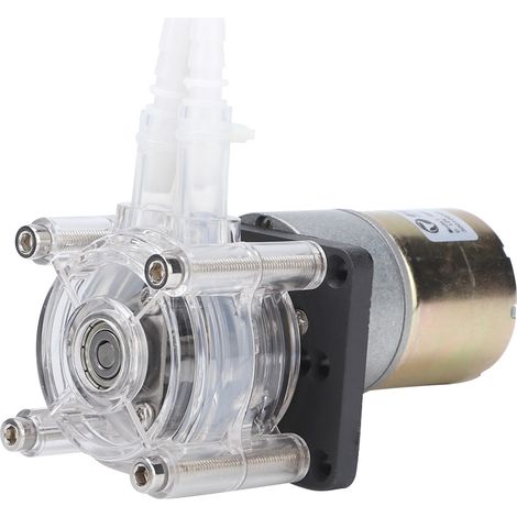 Pompe à vide péristaltique puissante à grand débit avec moteur à engrenages 12 V CC pour équipements de cuisine et de buanderie