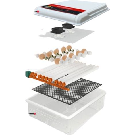 Incubateur automatique 16 œufs – Rotation toutes les 90 minutes – Double alimentation 220 V/12 V – Convient aux poulets et autres volailles (1/3)