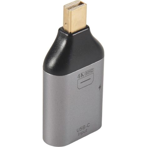 Adaptateur USB-C femelle vers HDMI compatible MiniDP mâle pour vidéo haute définition 4K à 60 Hz (interface compatible MINI DP) (1/5)