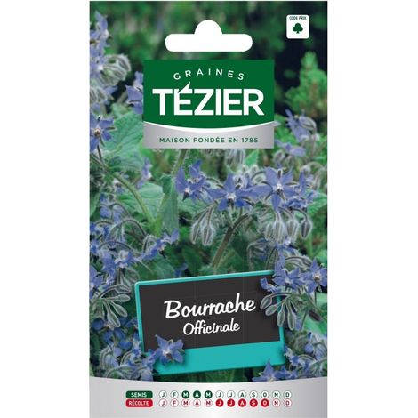 Tezier - Bourrache officinale