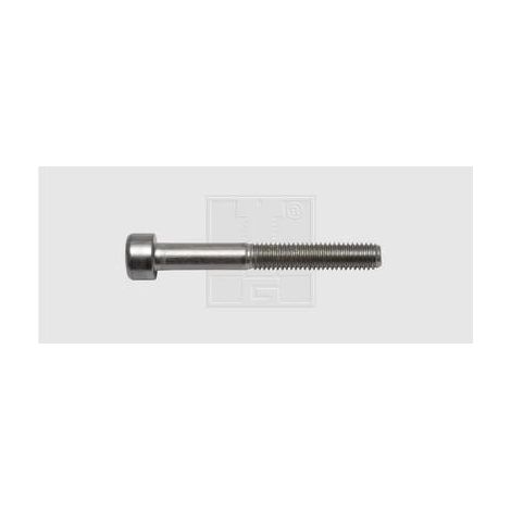Vis à empreinte hexagonale SWG 4009146506175 50 pc(s) M5 40 mm 6 pans intérieurs acier inoxydable N/A (1/2)