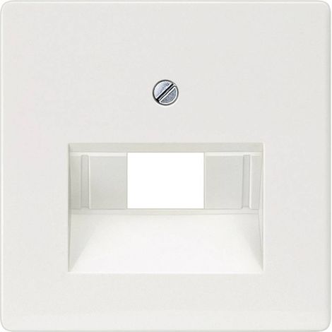 Cache Siemens 5TG2545 Delta blanc X58539 (1/2)