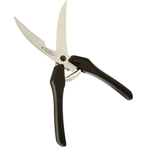 Trinciapolli Inox Victorinox V-7.63 43 (1/4)
