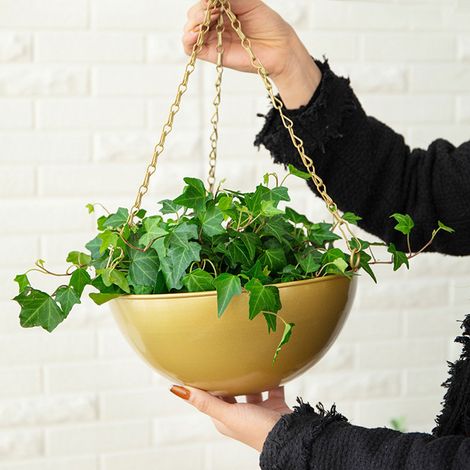 Großer, hängender Wandkorb aus goldfarbenem Schmiedeeisen ohne Abflussloch für Grünpflanzen, Efeu, Orchideen, dekorative Aufhängung. (1/5)