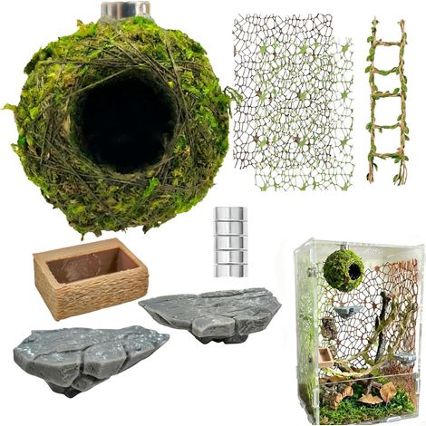 Ensemble d'accessoires pour Terrarium araignée sauteuse, enrichissement (1/5)