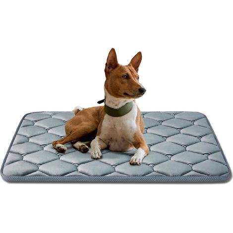 Matelas pour chien 30x10 cm épaisseur 1 cm, chien pour matelas en mousse à mémoire de forme orthopédique, housse lavable, convient aux grands chiens - gris