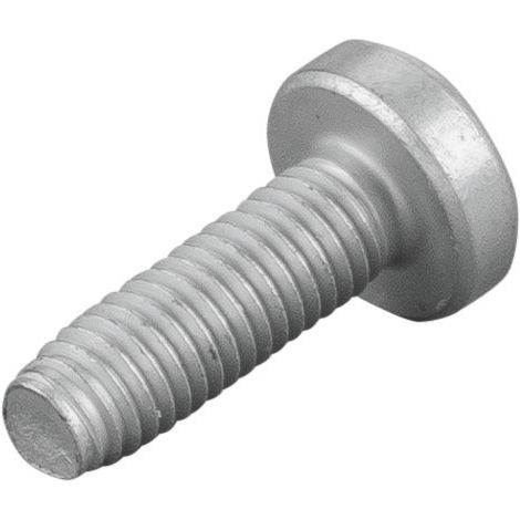 Linsenschraube 083135