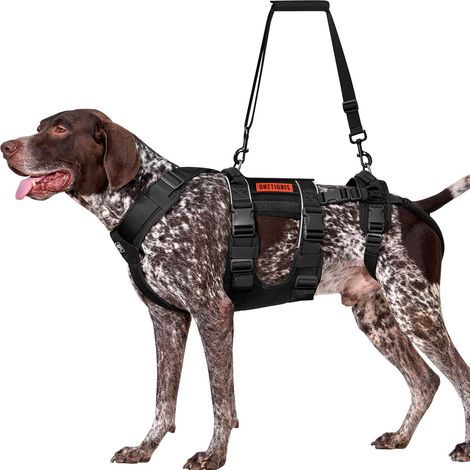 Harnais de Soutien pour Chien avec Poignée d'Aide - Aide à la Mobilité pour Chiens Âgés ou Blessés