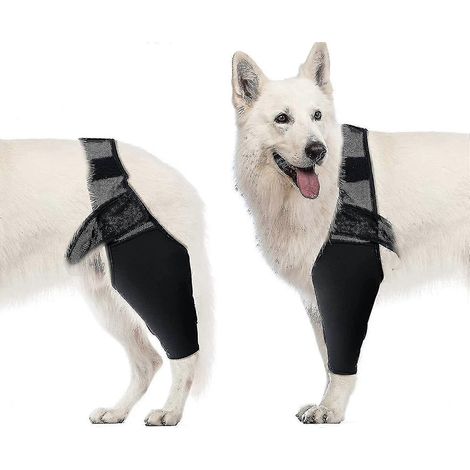 Attelle de coude pour chien, genouillère de compression, support d'épaule, dysplasie, arthrite, callosités (1/5)