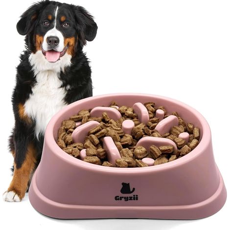 1 Gamelle Anti Glouton, Picots Intégrés, Pieds Antidérapants, Pour Grand Chien XXL (1/5)