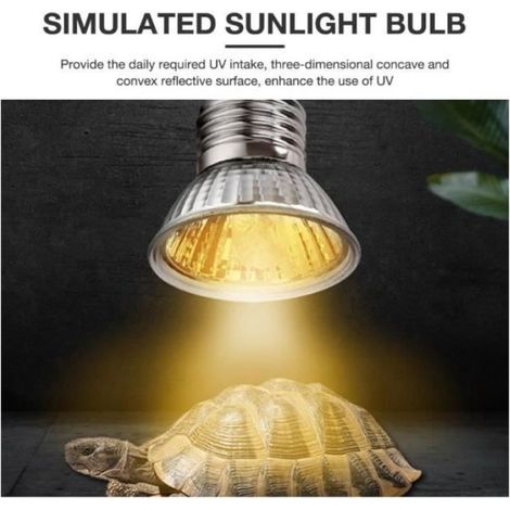 Lot de 6 Lampes Chauffantes pour Tortue 25W Ampoule Lamp Chauffante Tortue Ampoule Chauffante pour Reptiles pour Bains de Sol Label (1/4)